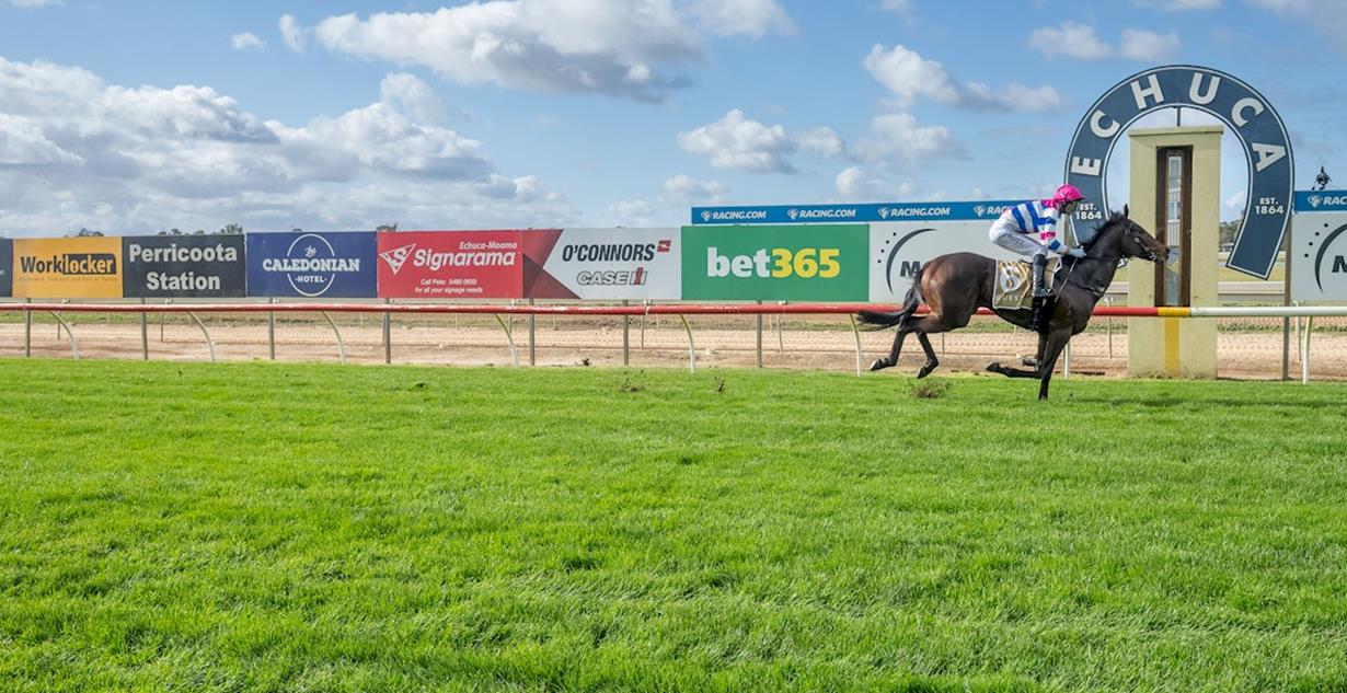 Myhro's Ruler - Echuca 24th July 2026